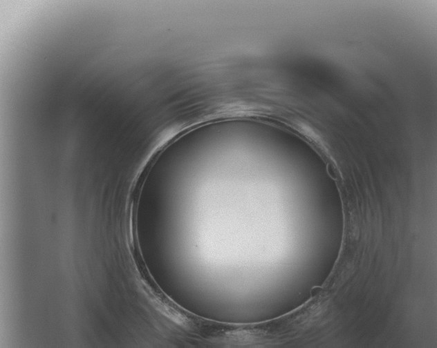 X0000068311227200604281727