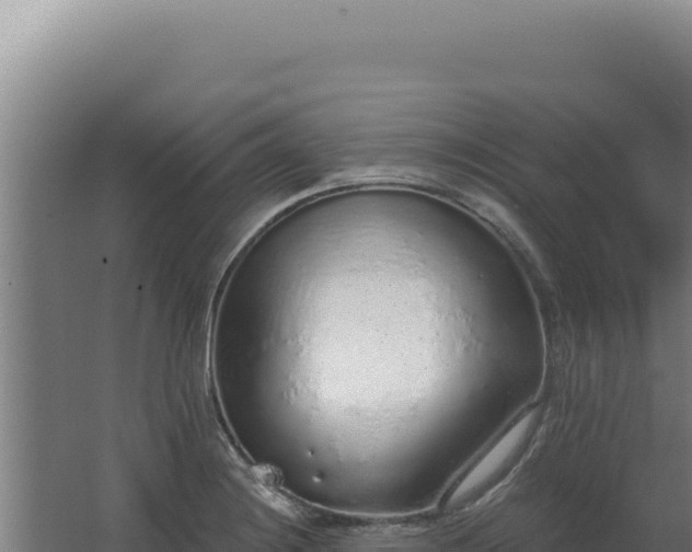 X0000068311228200604281727