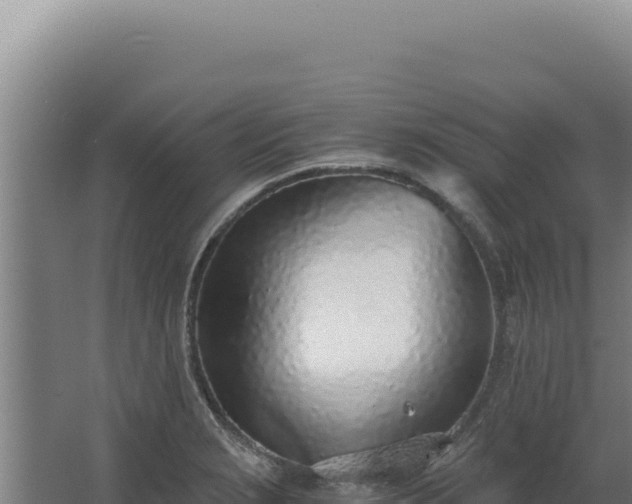 X0000068311229200604281727