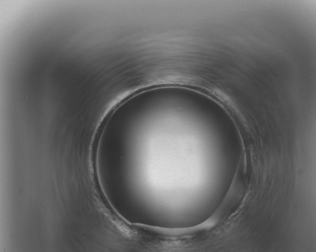 X0000068311230200604281727