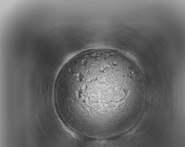 X0000068311231200604281727