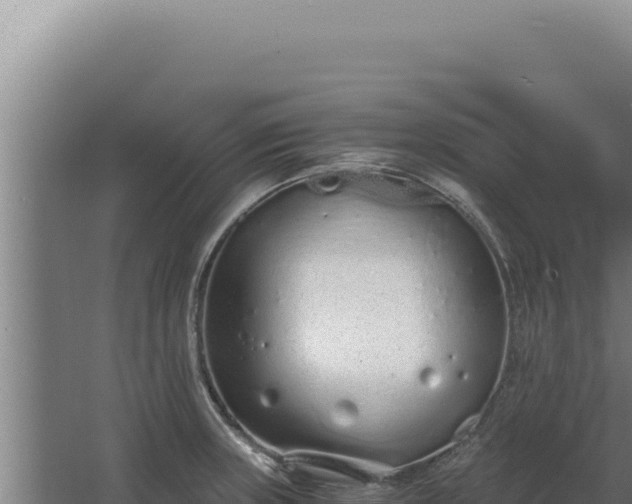 X0000068311235200604281727