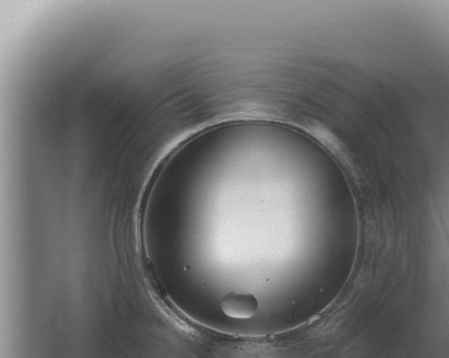 X0000068311238200604281727