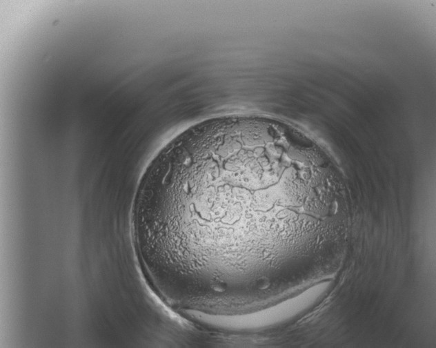 X0000068311239200604281727