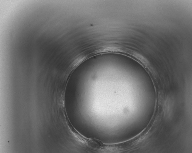 X0000068311241200604281727