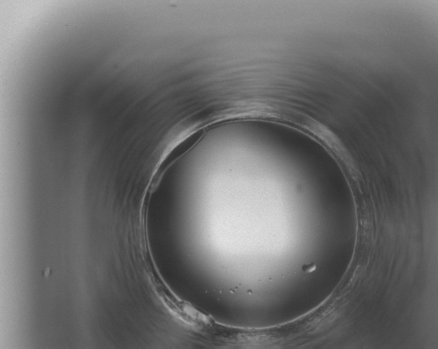 X0000068311242200604281727