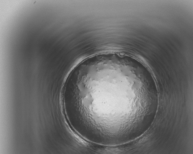 X0000068311243200604281727