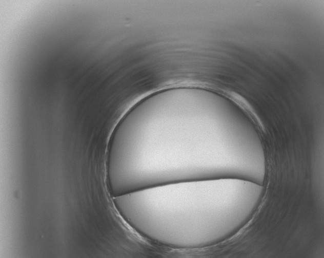 X0000068311244200604281727