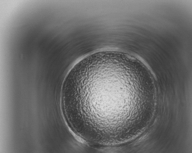 X0000068311245200604281727