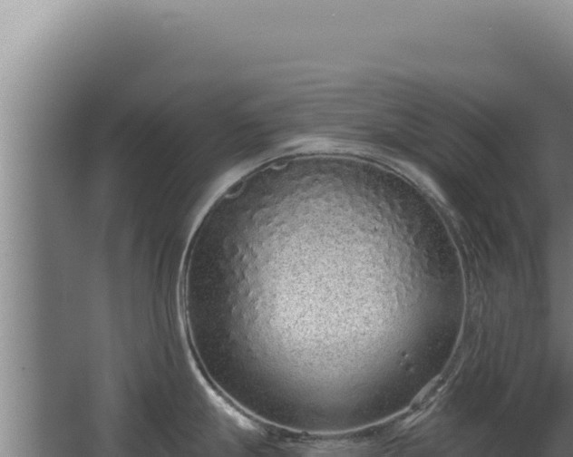 X0000068311247200604281727