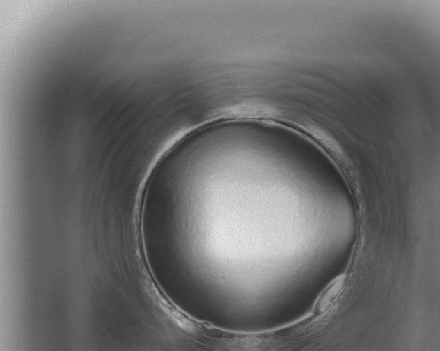 X0000068311248200604281727