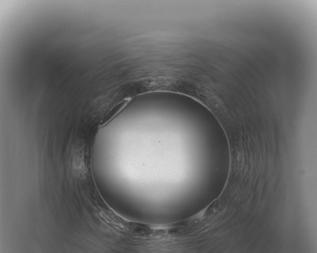 X0000068311250200604281726