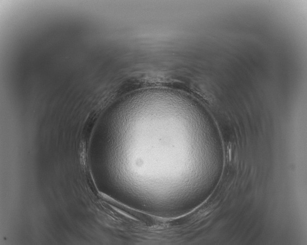 X0000068311251200604281726