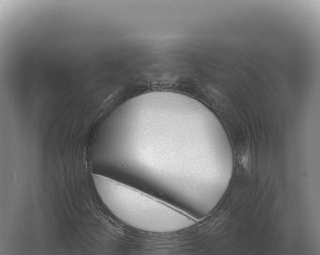 X0000068311252200604281726