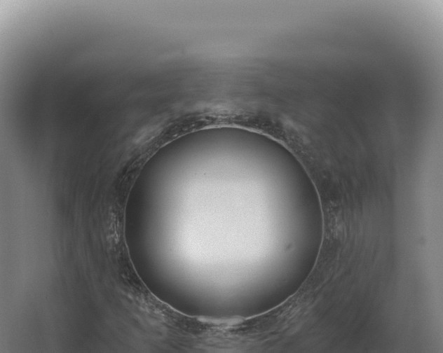 X0000068311253200604281726