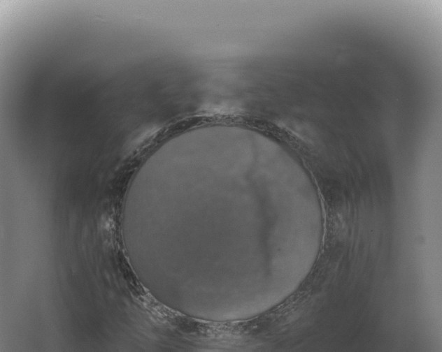 X0000068311254200604281726