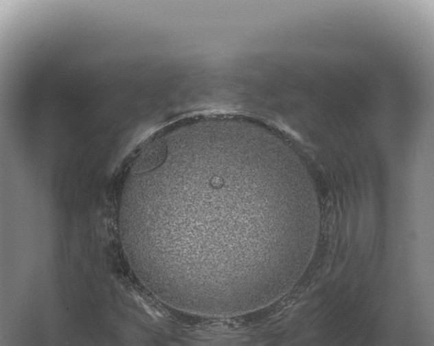 X0000068311255200604281726