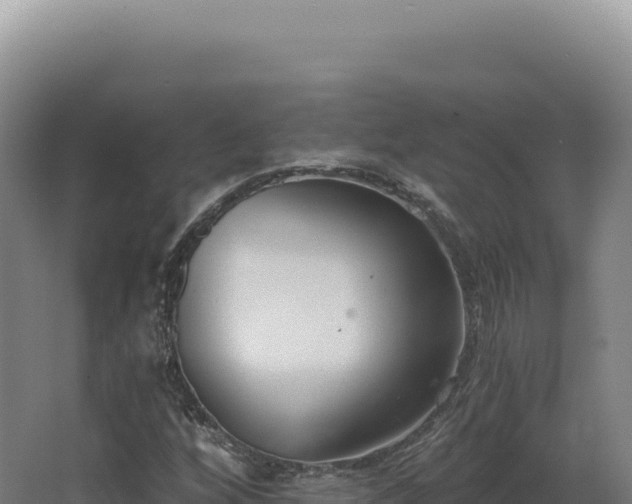 X0000068311256200604281726