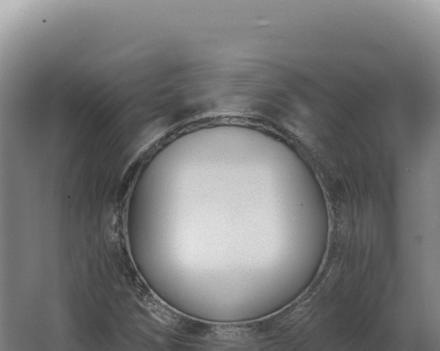 X0000068311258200604281726