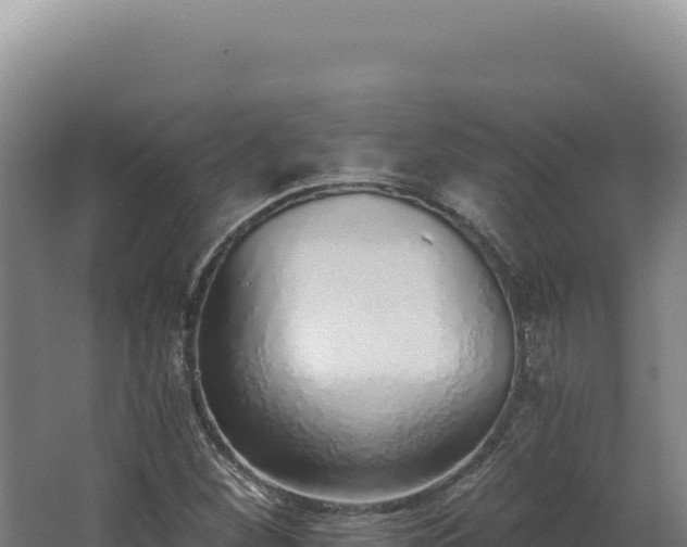 X0000068311260200604281726