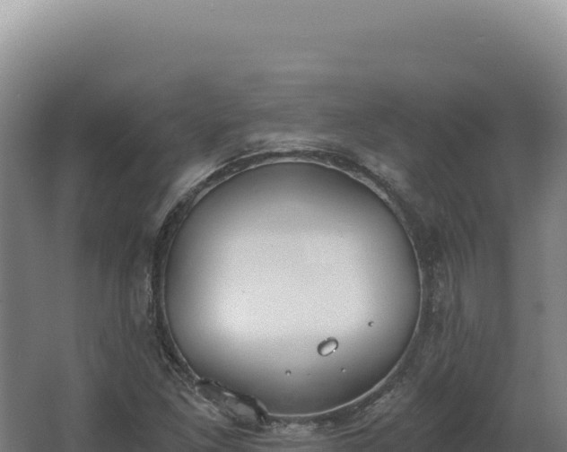 X0000068311261200604281726