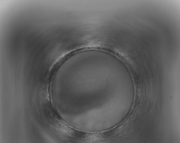 X0000068311262200604281726