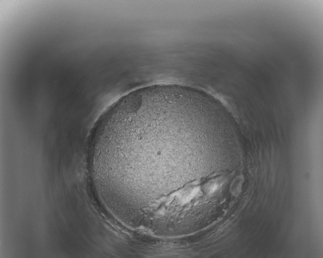 X0000068311263200604281726