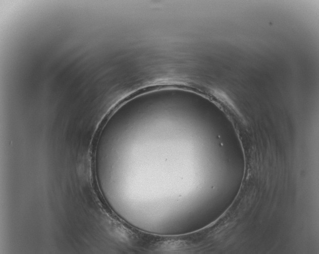 X0000068311268200604281726