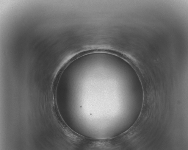 X0000068311271200604281726