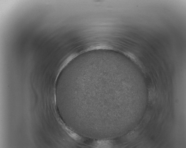 X0000068311274200604281726