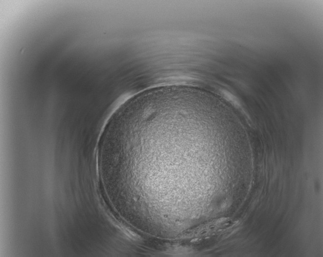 X0000068311275200604281726