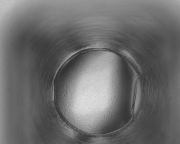 X0000068311276200604281726