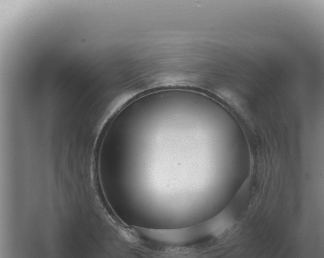 X0000068311277200604281726