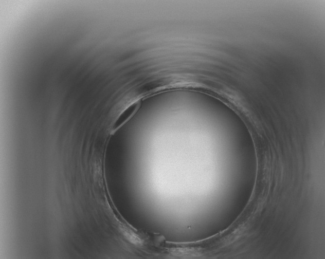 X0000068311281200604281726