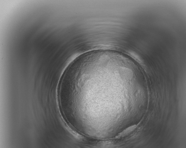 X0000068311283200604281726