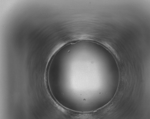 X0000068311285200604281726