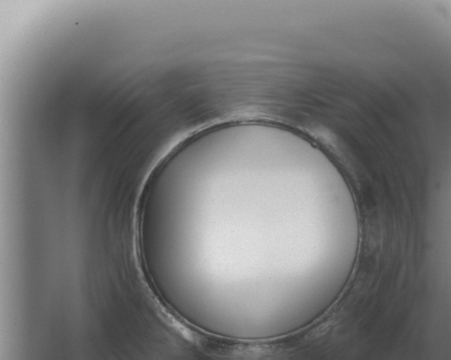 X0000068311286200604281726