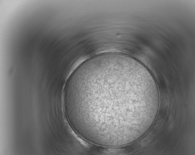 X0000068311290200604281726