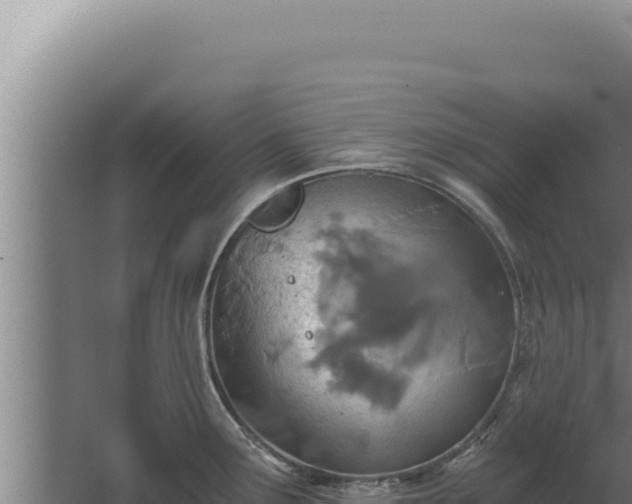 X0000068311291200604281726