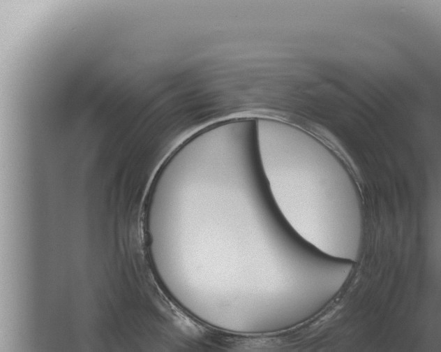 X0000068311292200604281726