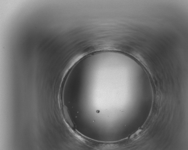 X0000068311293200604281726