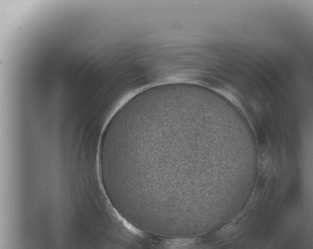 X0000068311294200604281726