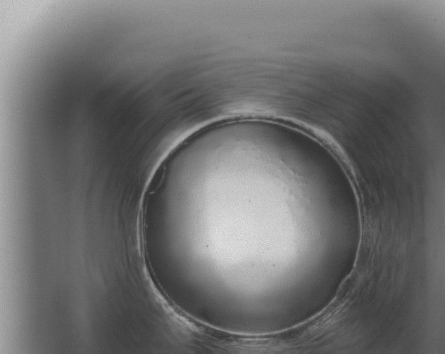 X0000068311295200604281726