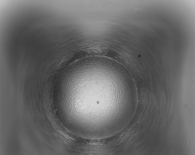 X0000068311297200604281725