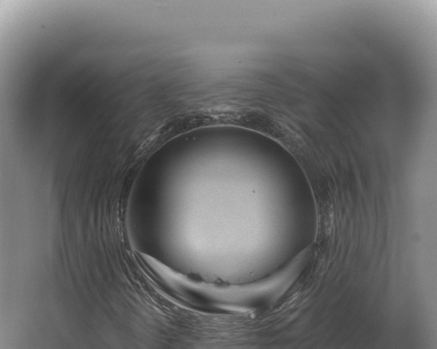 X0000068311298200604281725