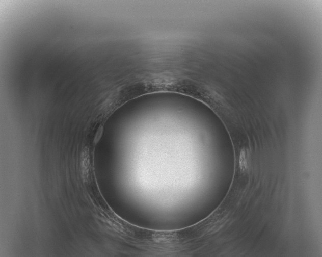 X0000068311299200604281725