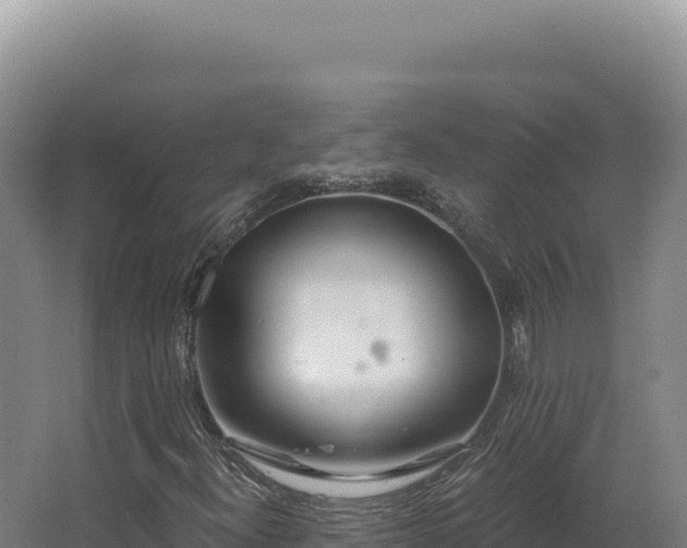 X0000068311300200604281725