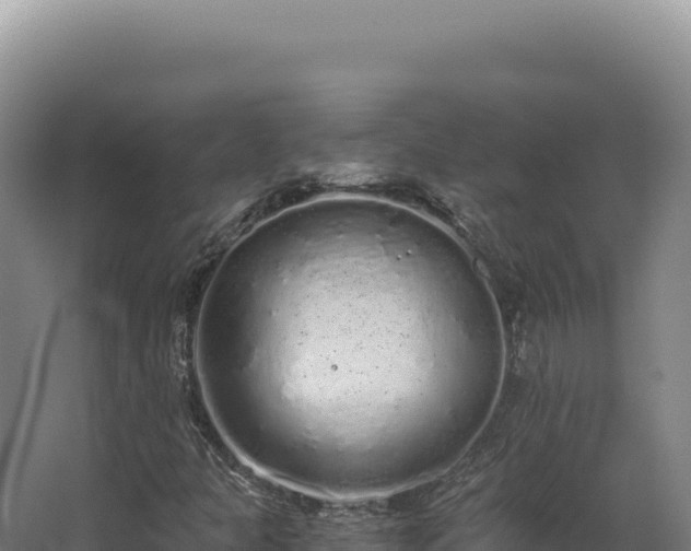 X0000068311301200604281725