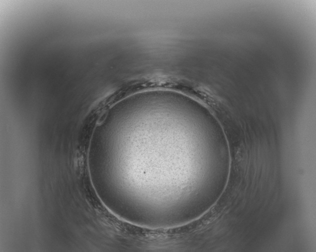 X0000068311302200604281725