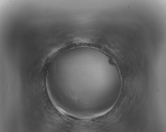 X0000068311303200604281725